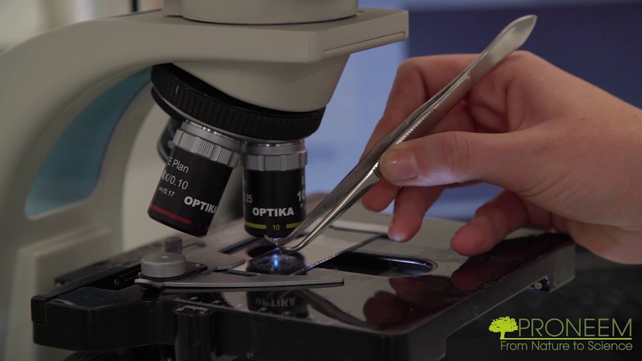 PRONEEM factory : Microcapsules manufacturing process