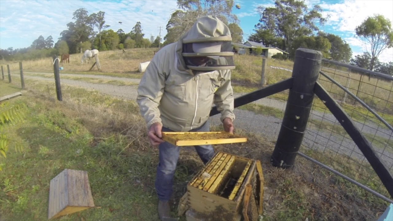 Beehive Spring Management