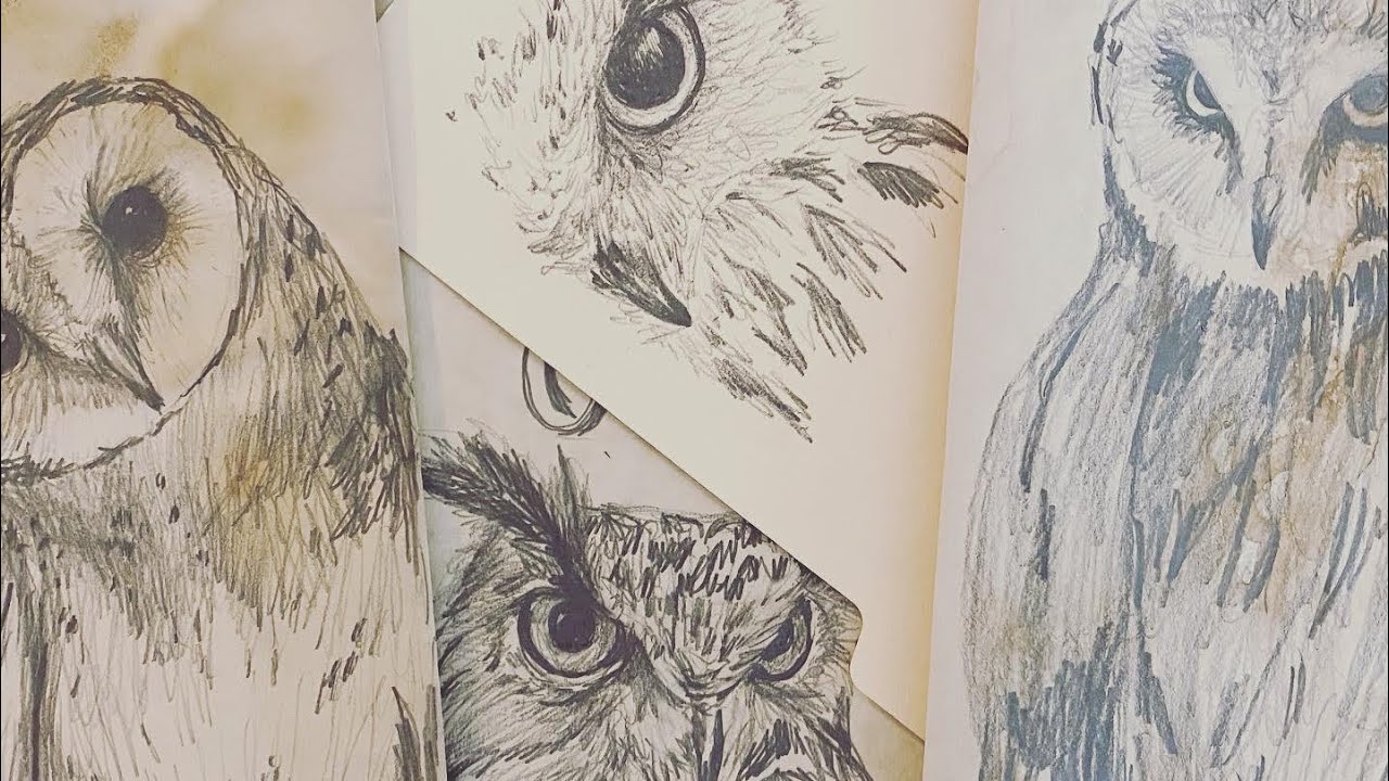 How to draw an owl- quickie sketch