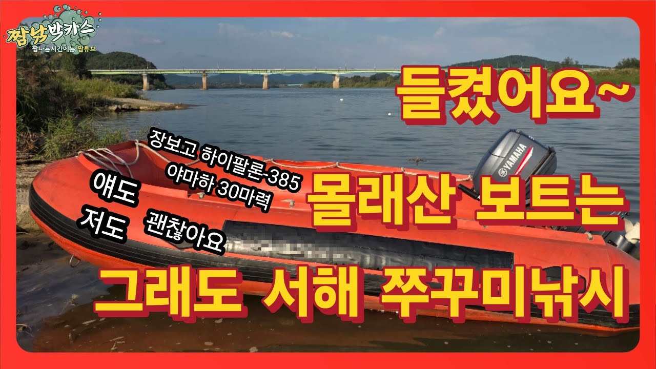 들켰어요~ 몰래산보트는 괜찮아요 서해 쭈꾸미낚시 #바다낚시 #쭈꾸미 #갑오징어 #보트낚시 #두족류낚시 #홍원항 #발전소 #fishing #짬낚 #야마하 #선외기 #장보고 #고무보트