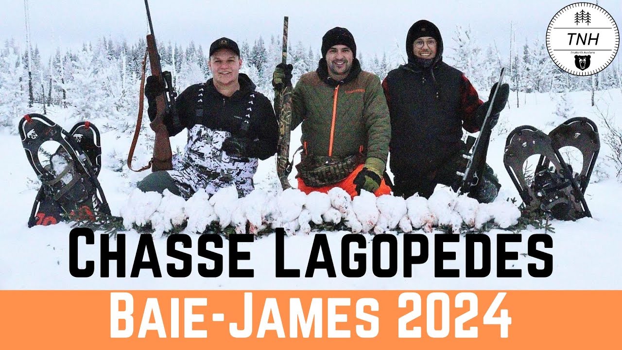 Chasse aux lagop&egrave;des des saules 2024 - Willow Ptarmigan hunting 2024 - TruNorth Hunters