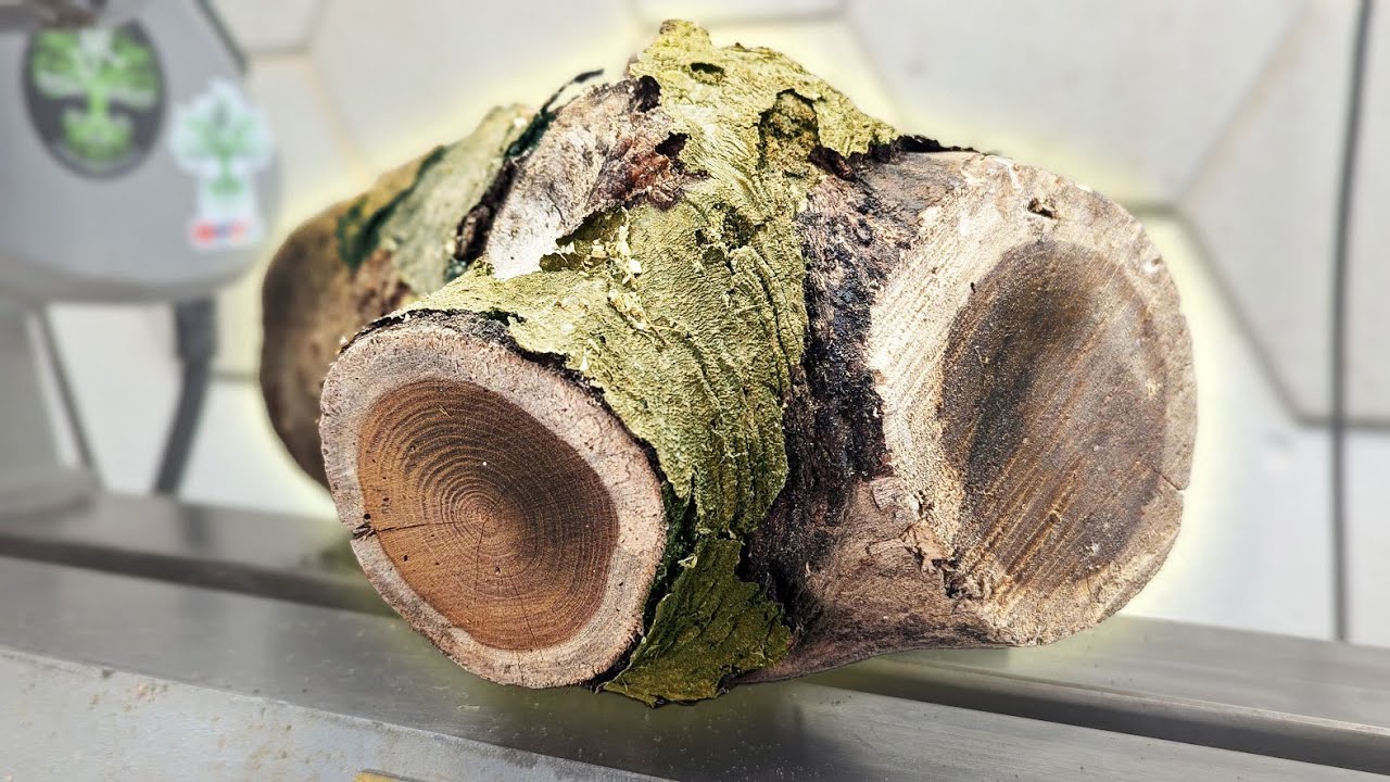 the LIVING Dead!!: A Buggy Woodturning Epic