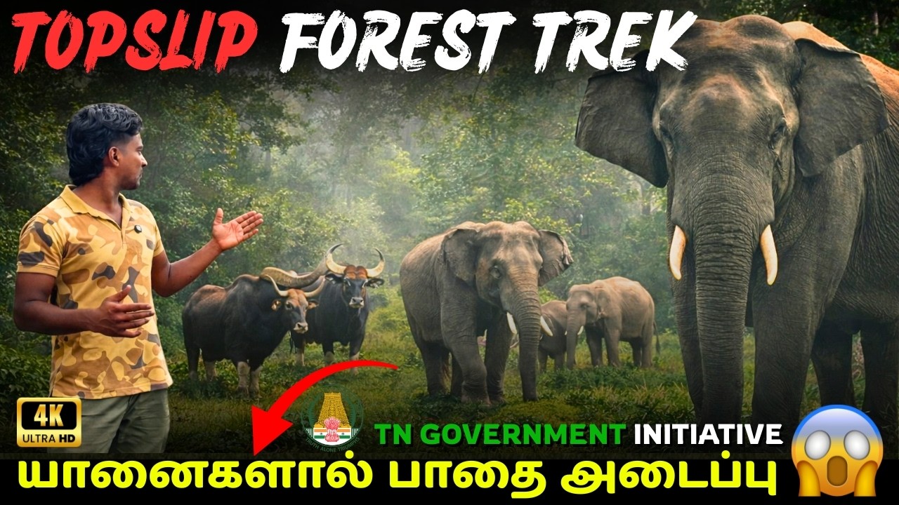 🐘🌳Pollachi Top Slip Forest Trek & Full Travel Guide 👍 | How To Book ? | Organized By TN Government