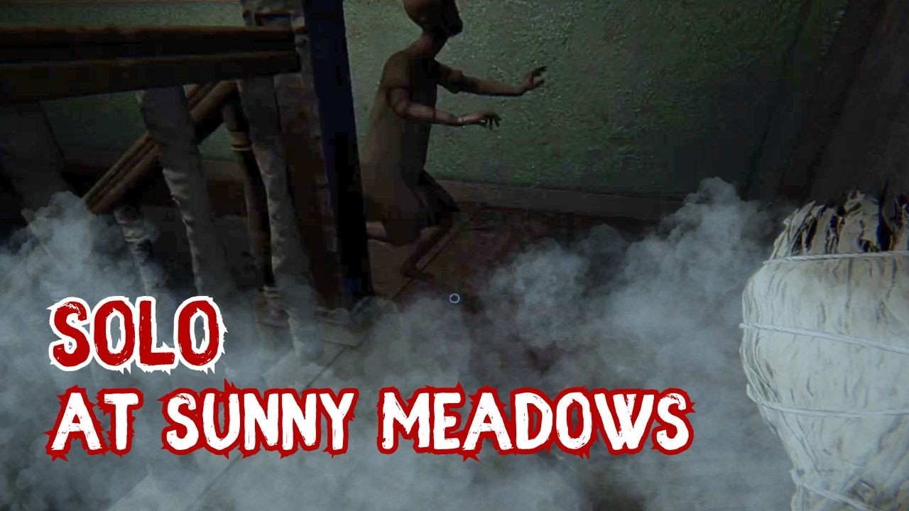 0 Sanity & Solo at Sunny Meadows