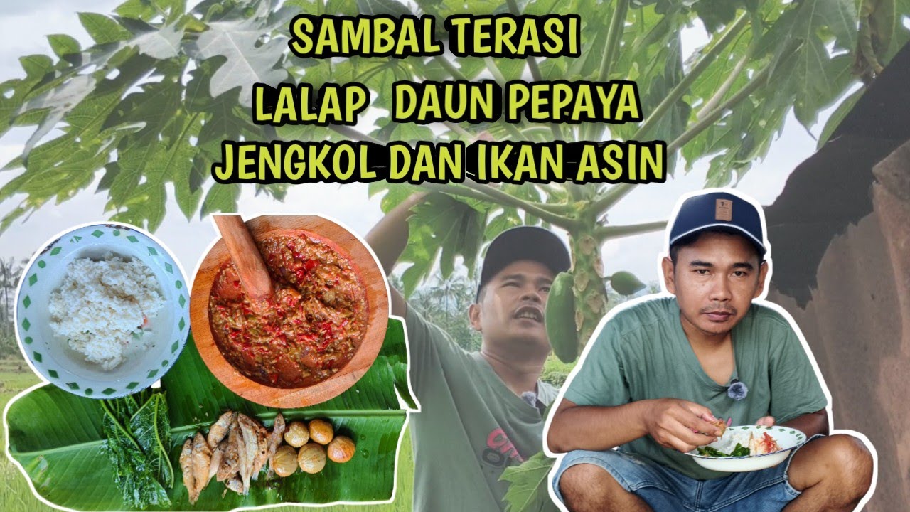 SAMBAL TERASI LALAP DAUN PEPAYA, IKAN ASIN DAN JENGKOL