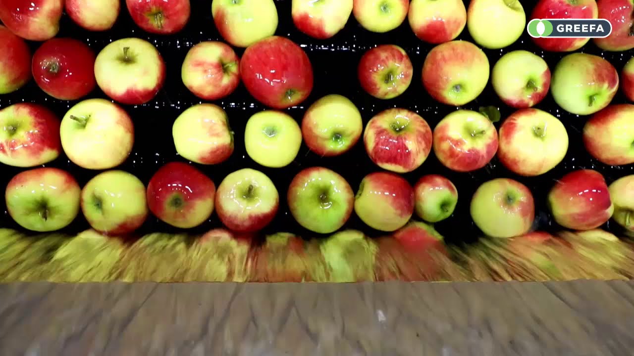 GREEFA | Van Ossenbruggen | CombiSort 6-lane for apples