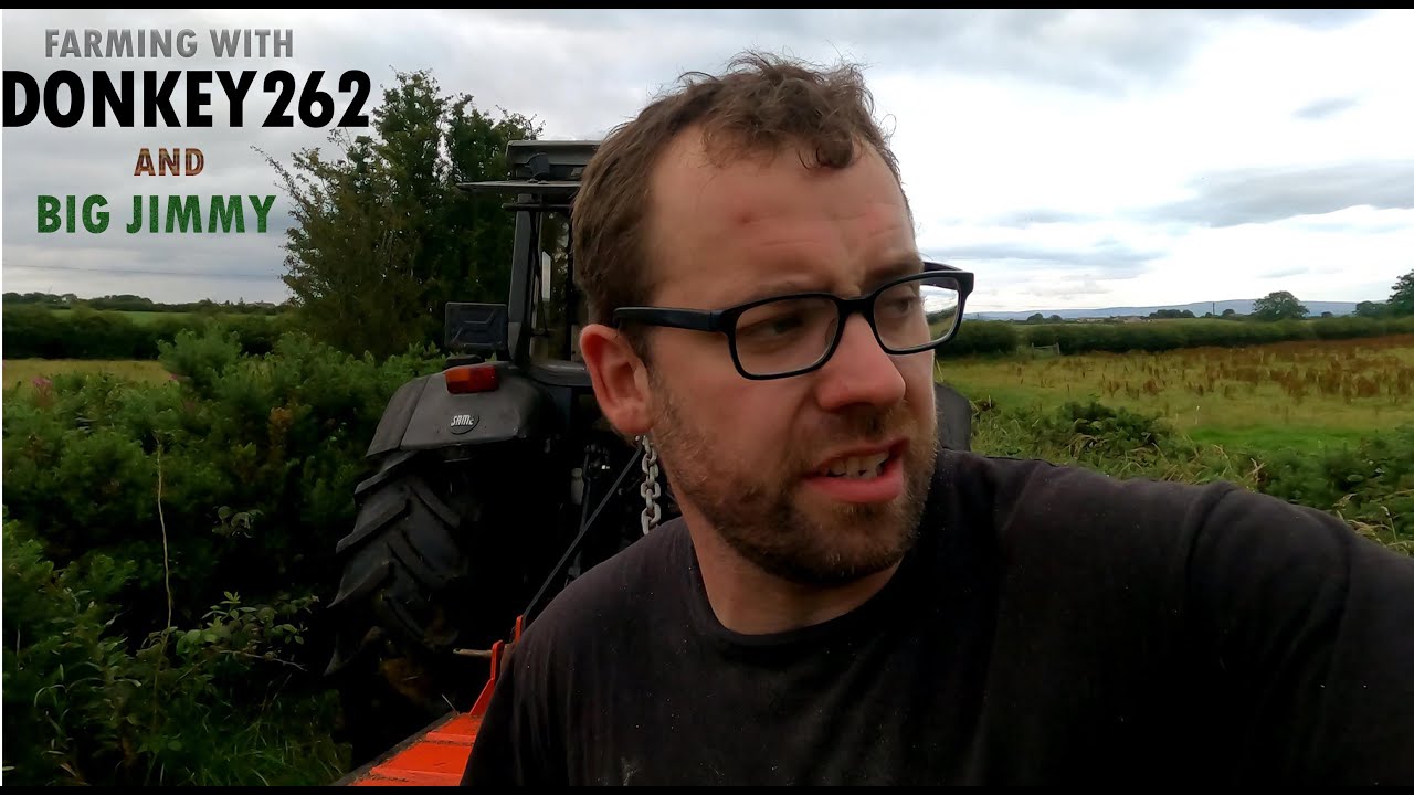 DONKEY262 and BIG JIMMY moving cattle, Dosing the Beasts, fencing and...tractors!