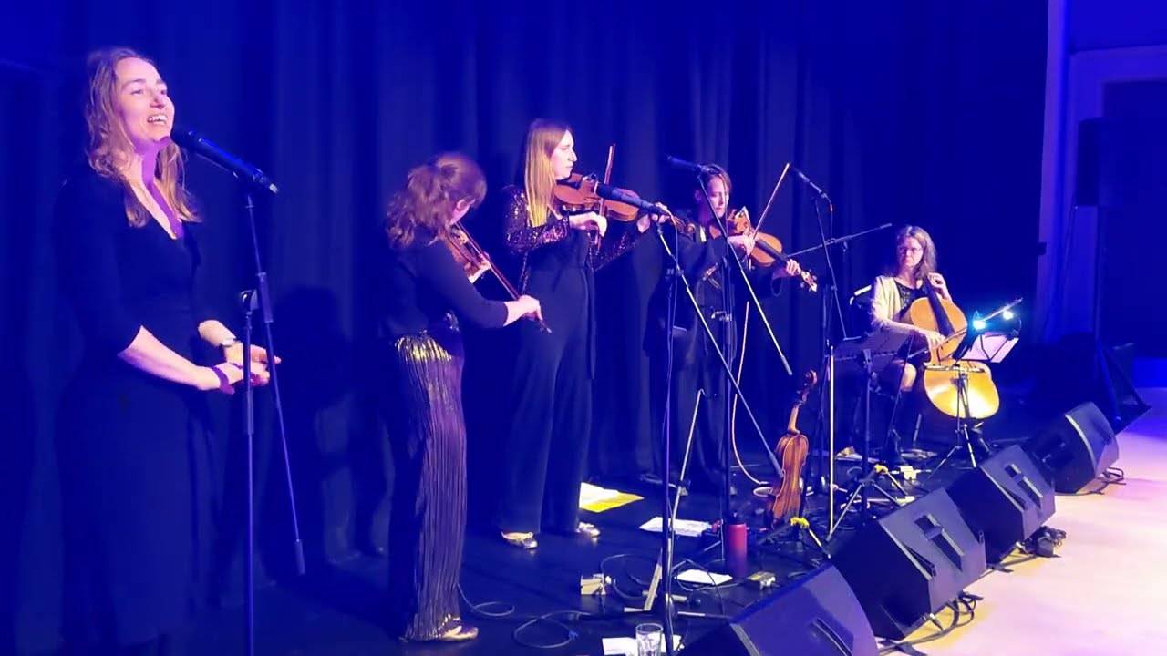 Bristol Ceilidh Quartet at PDSW