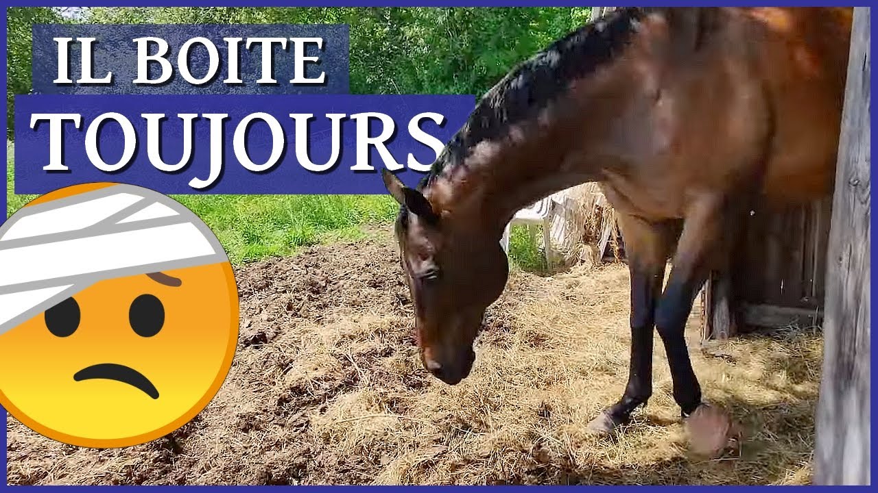 IL A TOUJOURS MAL, JE NE SAIS PAS COMMENT LE SOULAGER - Une semaine de soins