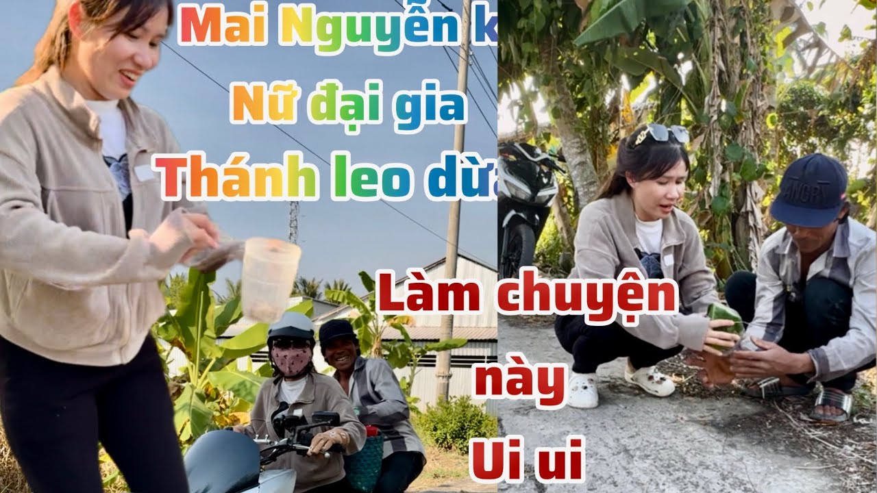 Mai Nguyễn tìm thánh leo dừa hợp tác làm điều này cả xóm hú hồn 