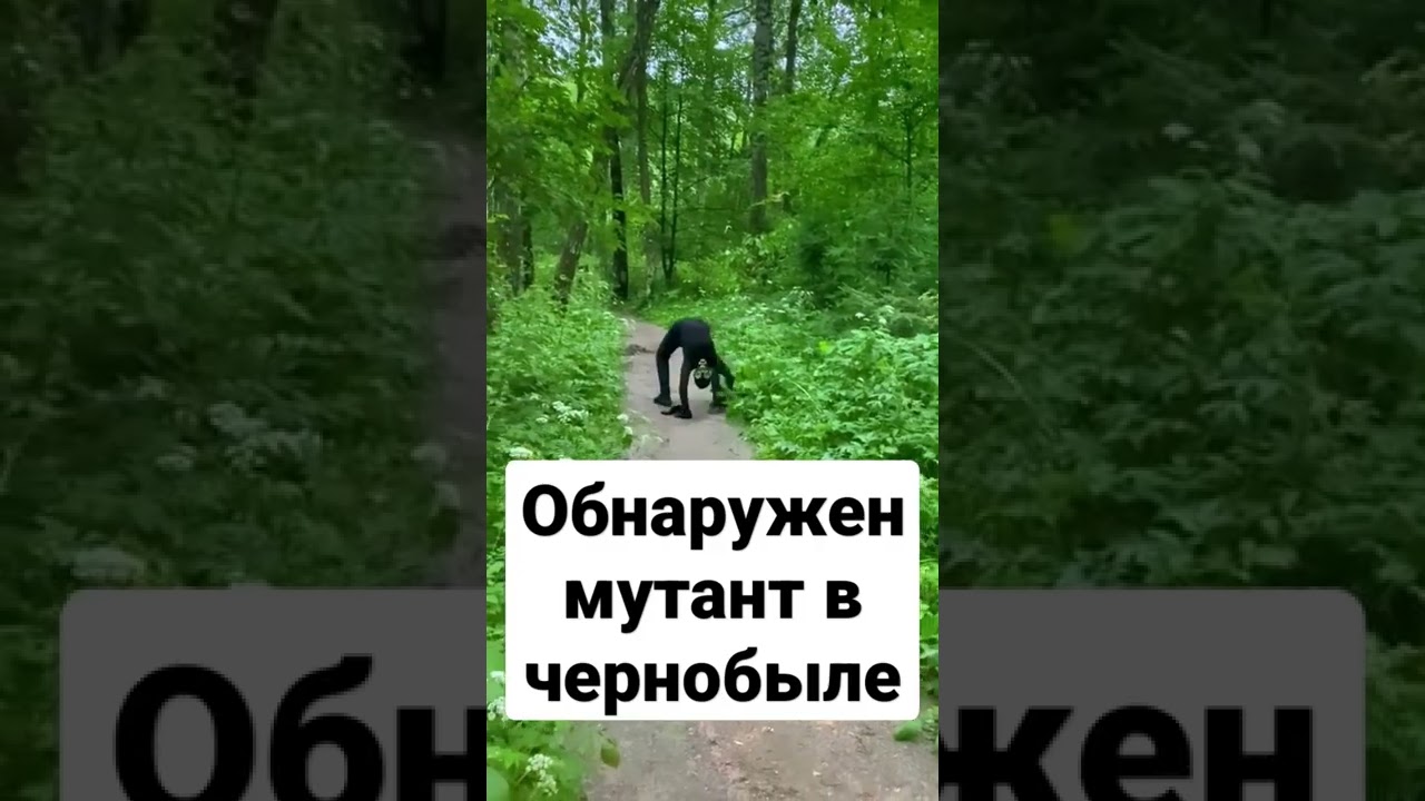 обнаружен мутант в чернобыле