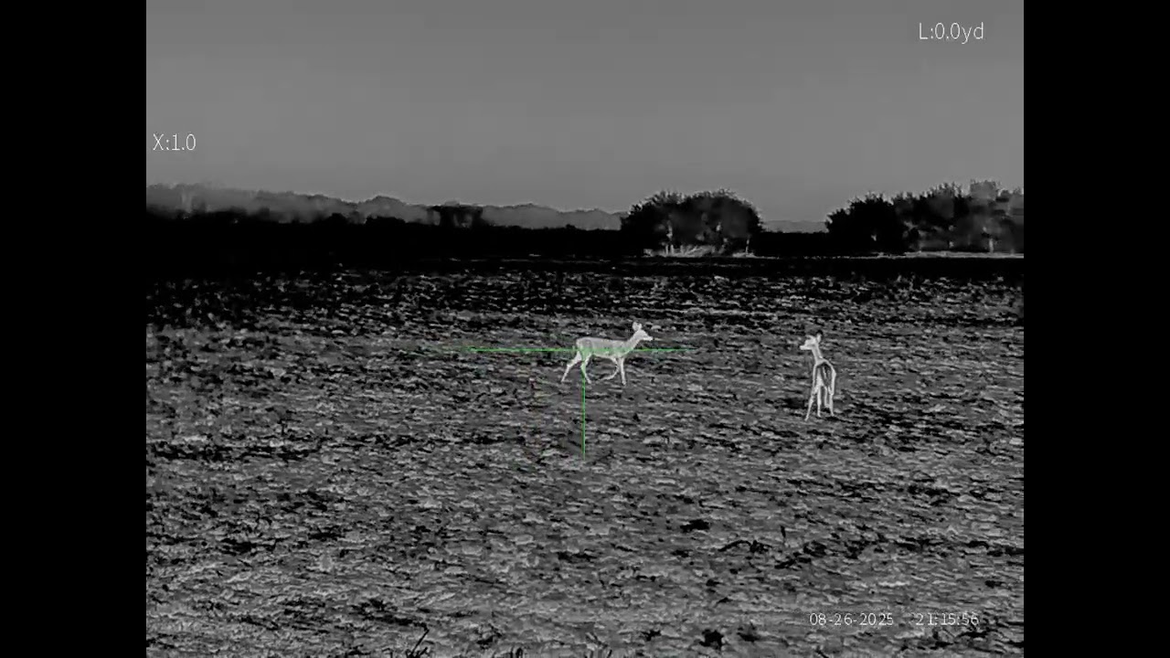 Oneleaf MT1000 35mm deer at various distances