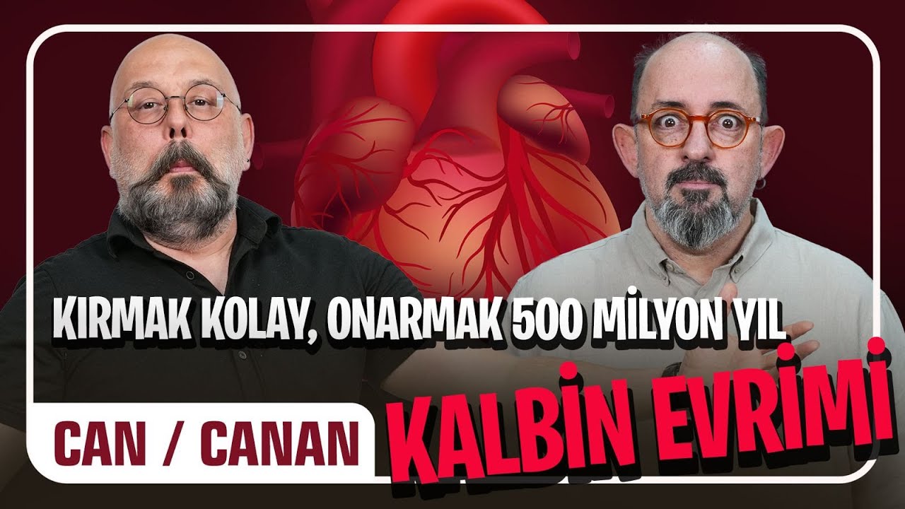 Kalp Kırmak Kolay, Kalp Yapmak 500 Milyon Yıl: Kalbin Evrimi I Önce Can Sonra Canan 329. Bölüm