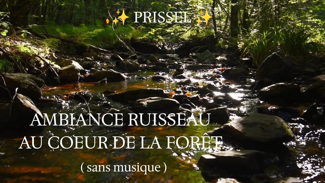 ✨ 🏞️ Ruisseau au cœur de la forêt Bruits nature relaxante étudier dormir relaxation HD ASMR FRANCE ✨