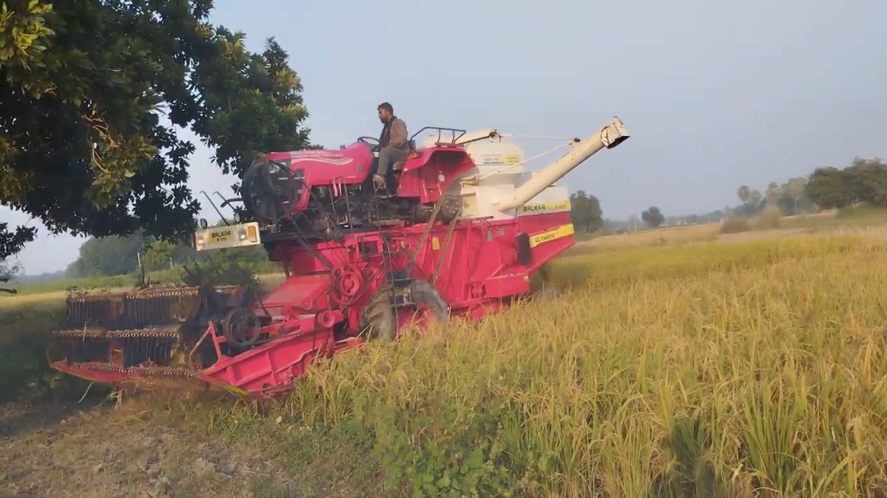 Balkar tractor mounted mini combine harvester se dhan ki cutting @balkarindia #balkarcombine