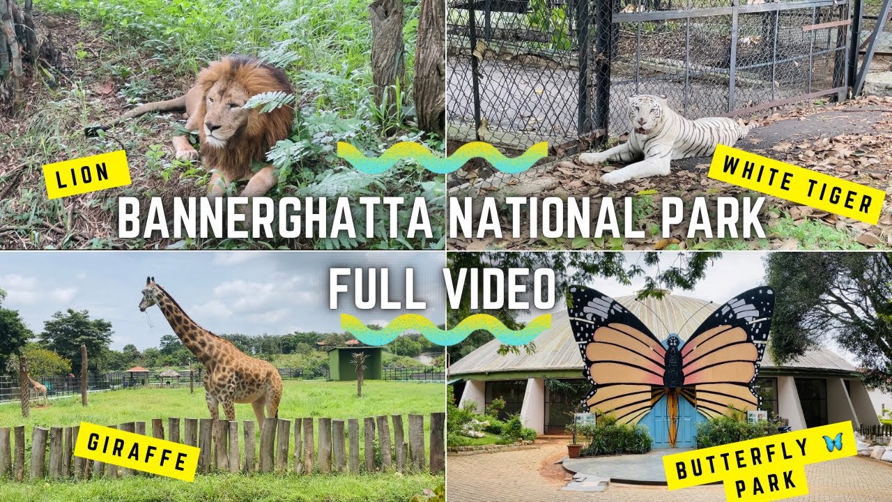 bannerghatta national park | bannerghatta biological park | Bannerghatta zoo | mr sachin honnalli