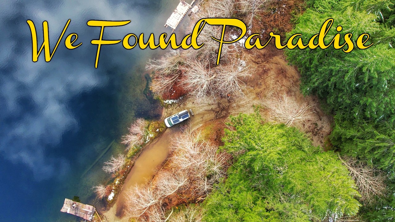We Went Looking for Firewood… and Found Paradise | Off-Grid Vanlife