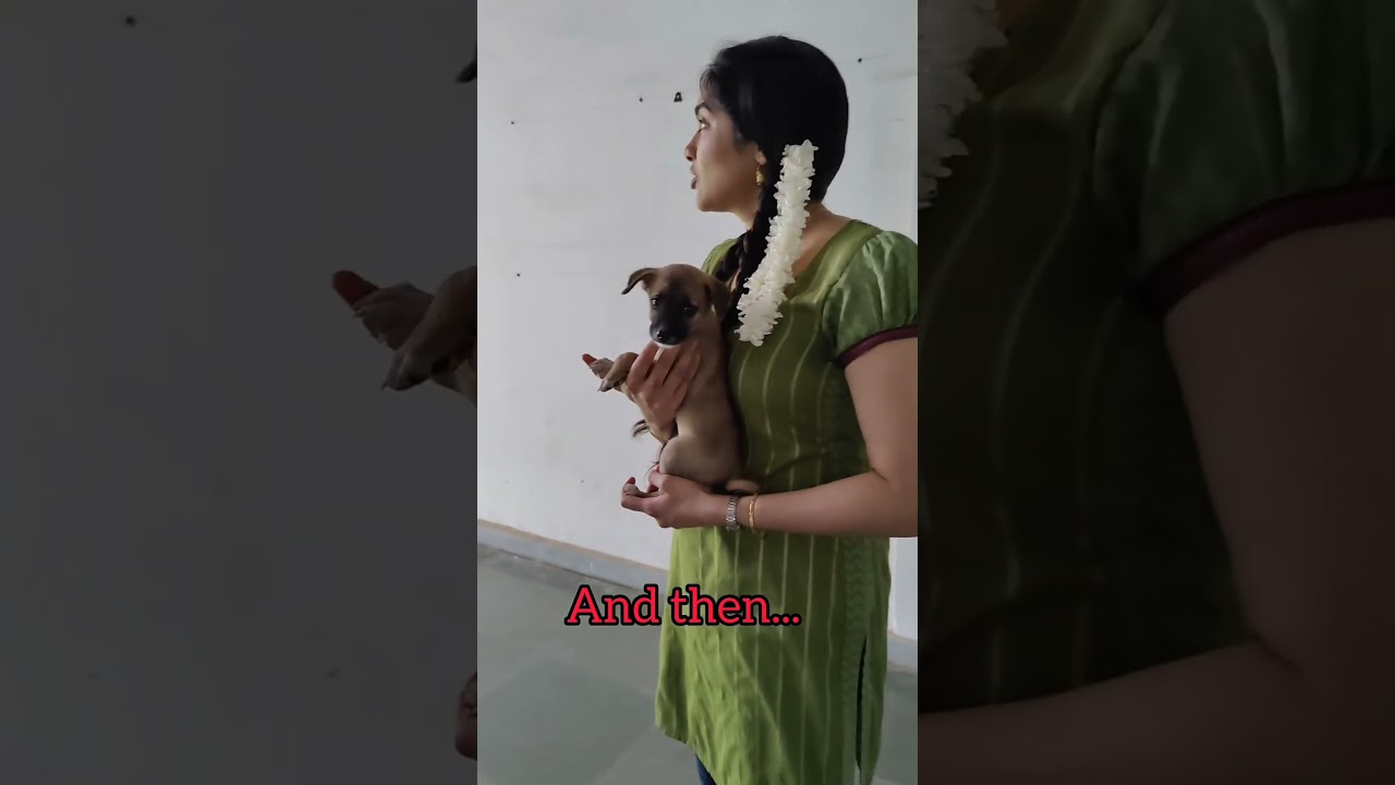 Adah Sharma with street Puppies 🐶