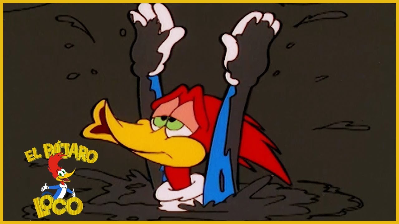 El Pájaro Loco en Español | Caza Fortuna | Dibujos Animados en Español