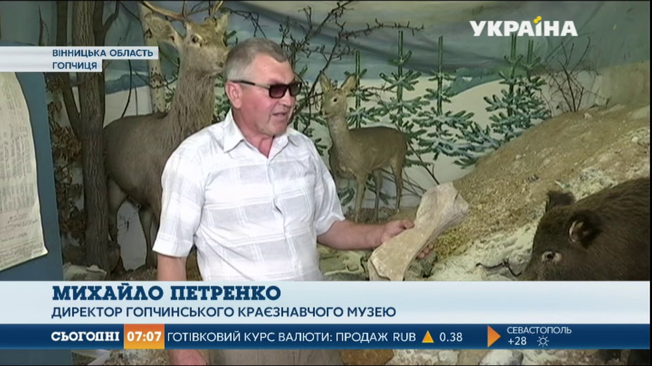 В селе Гопчица случайно нашли кости носорога