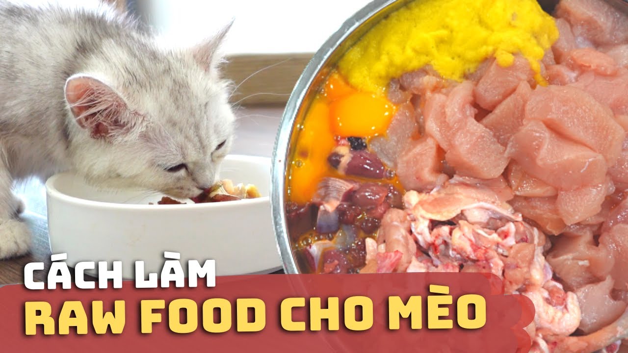 Cách Làm RAW FOOD CHO MÈO 😸🥩 | Raw Food Cho Mèo Là Gì? | Có Nên Cho Mèo Ăn Raw Food?