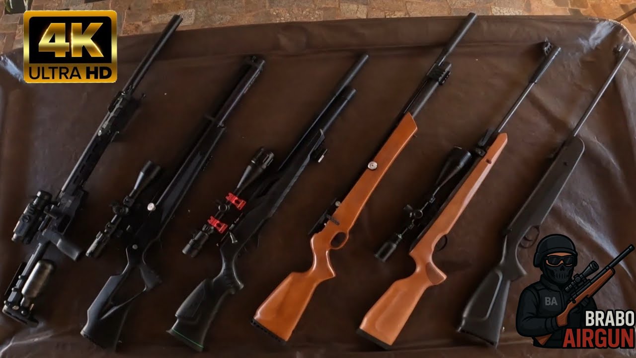 QUAL CARABINA ESCOLHER? VANTAGENS E DESVANTAGENS [SPRING/ GAS RAM/ PCP] #braboairgun #tiroespoetivo