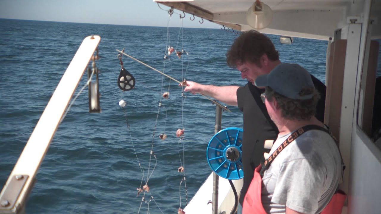 Behind the Scenes: The Gulf Coast Fish Industry