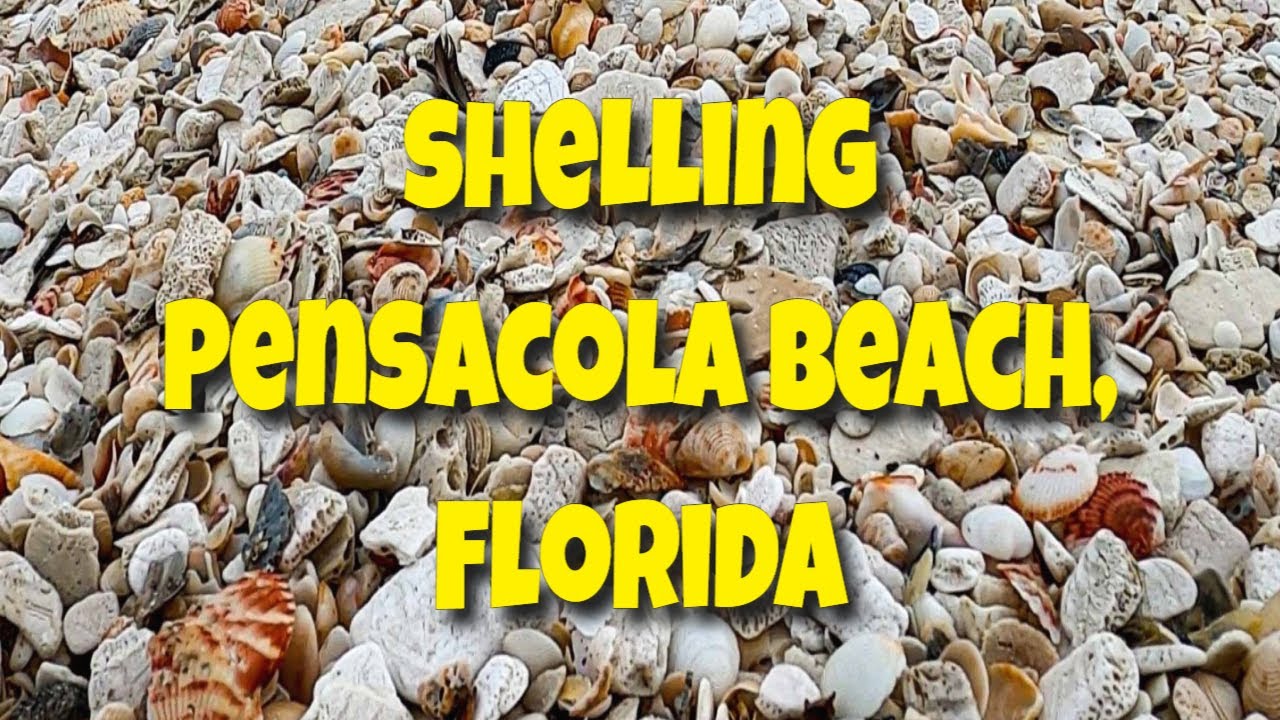 SHELLING The Pensacola Beach Half Marathon