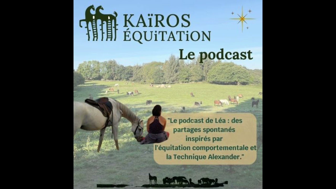 Quand le mouvement se libère