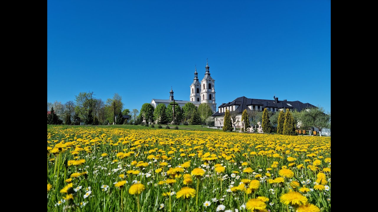 Sanktuarium Matki Bożej Miłosierdzia w Piekoszowie - wiosna - lato 2021