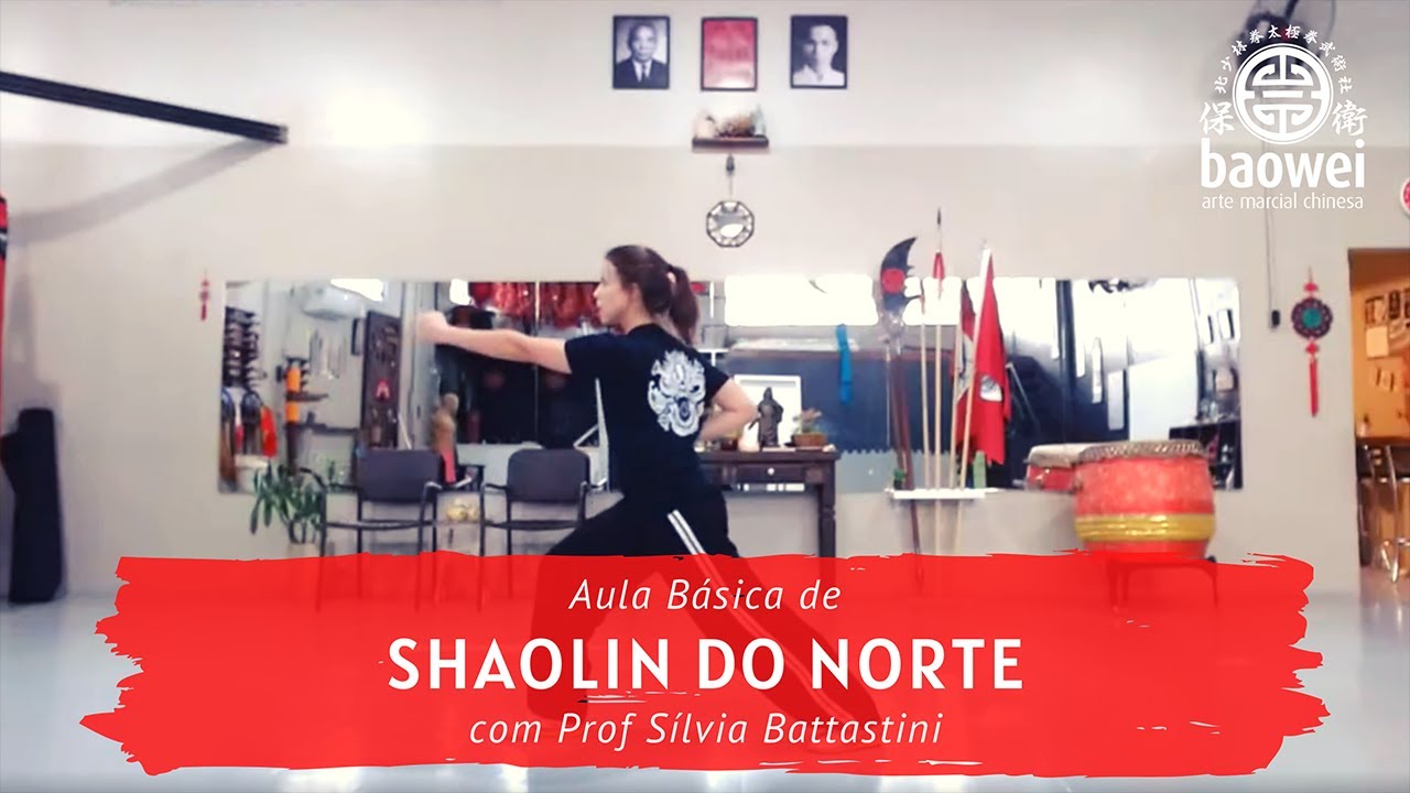Aula básica de Kung Fu Shaolin do Norte com professora Sílvia Battastini
