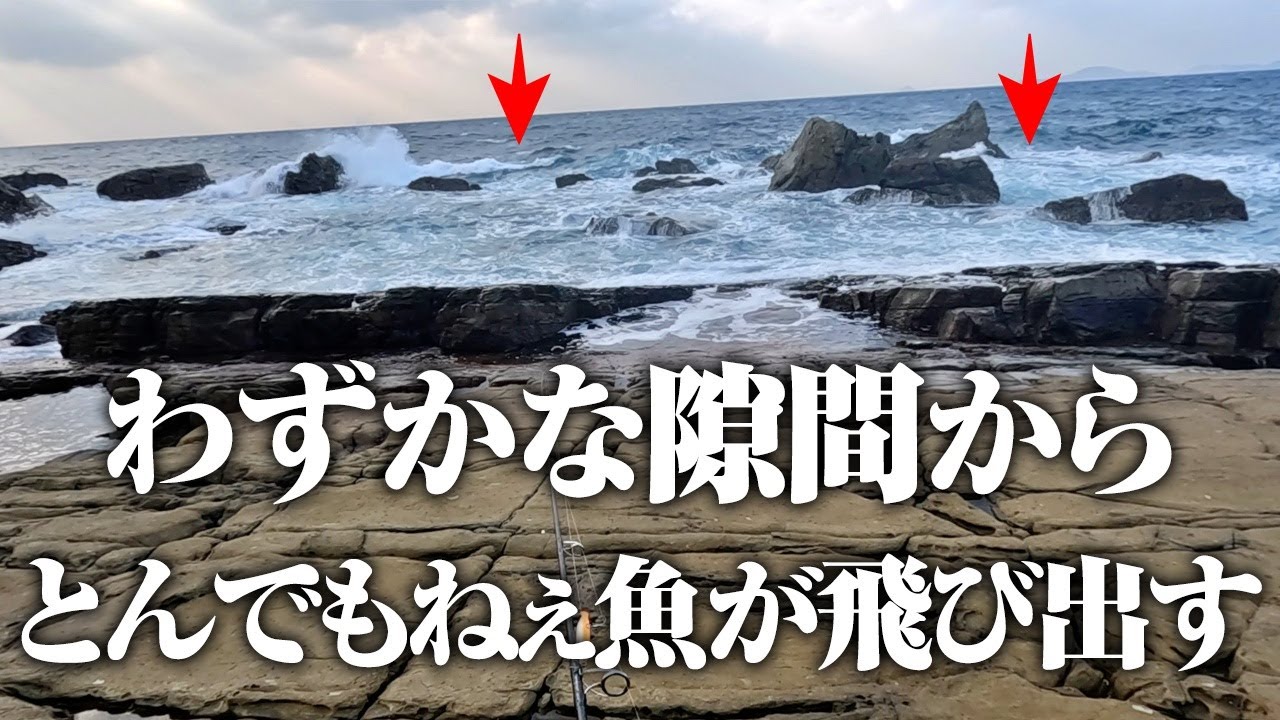 激浅の岩場でエッグい魚が釣れてしまう。まさかこんな隙間でこのサイズが釣れるなんて…。