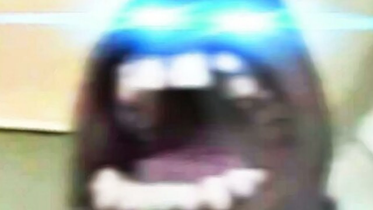 clean memes I watch with my pet shark