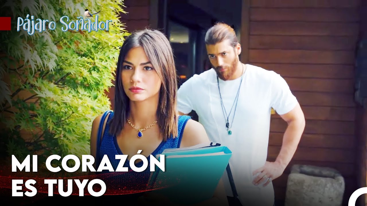 ¡Si Abrazas, Todo Mejorará! - Pájaro Soñador