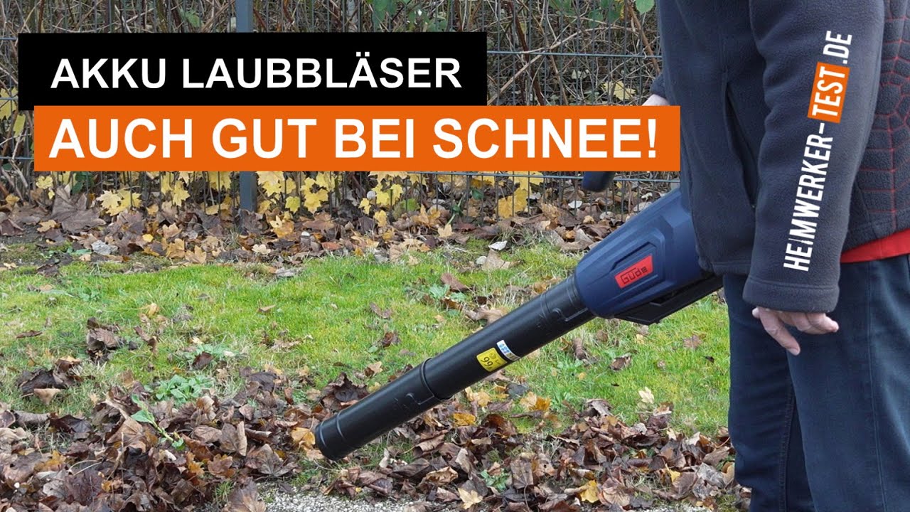 Laubbläser im Test: Vier Modelle im Vergleich!