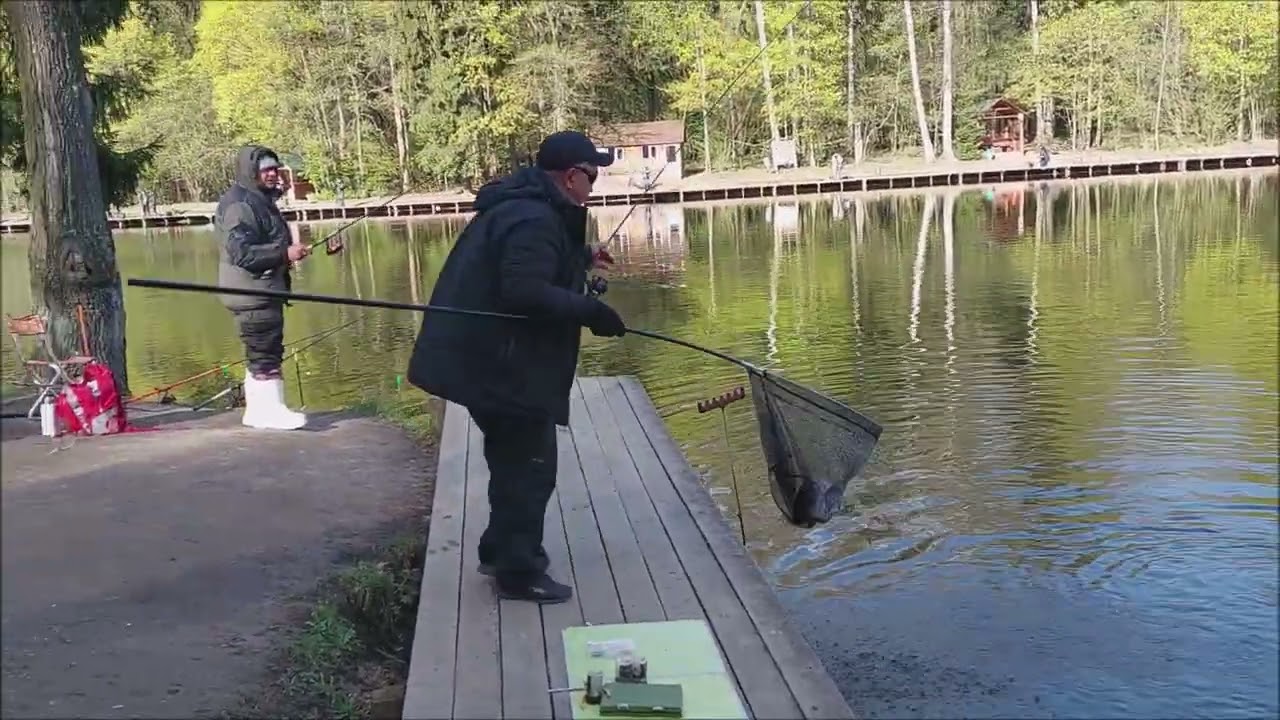 Утро на водоёмах. Клёвое место Лосиный остров.
