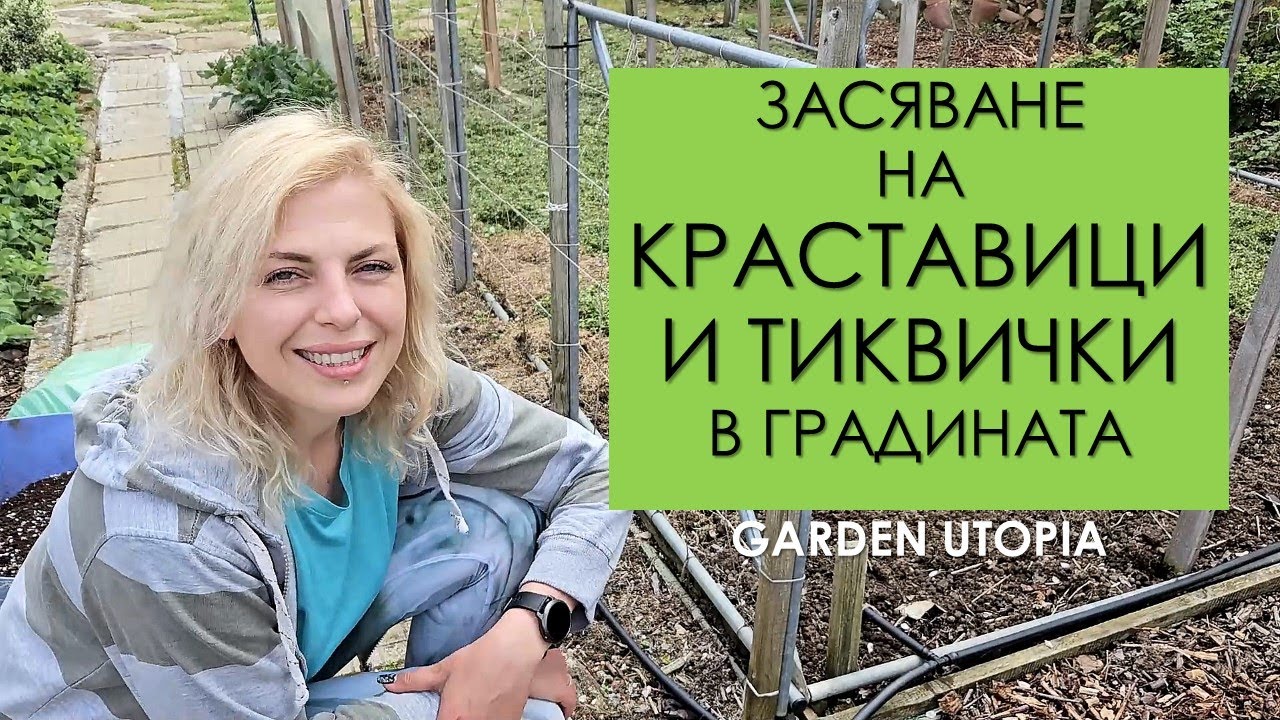 ЗАСЯВАНЕ на краставици и тиквички в ГРАДИНАТА