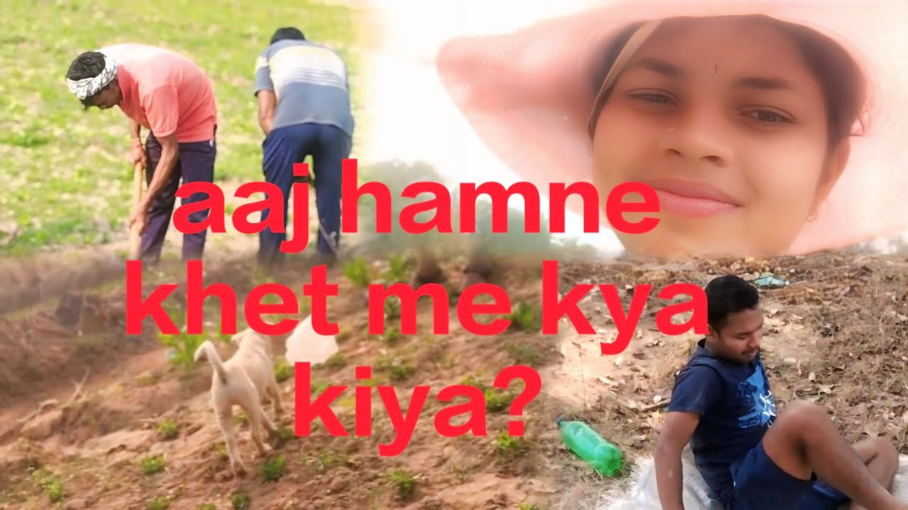 Aaj ham khet kyu Gaye the🧿👀#lifewithseema #blogging #villagelife #farming 