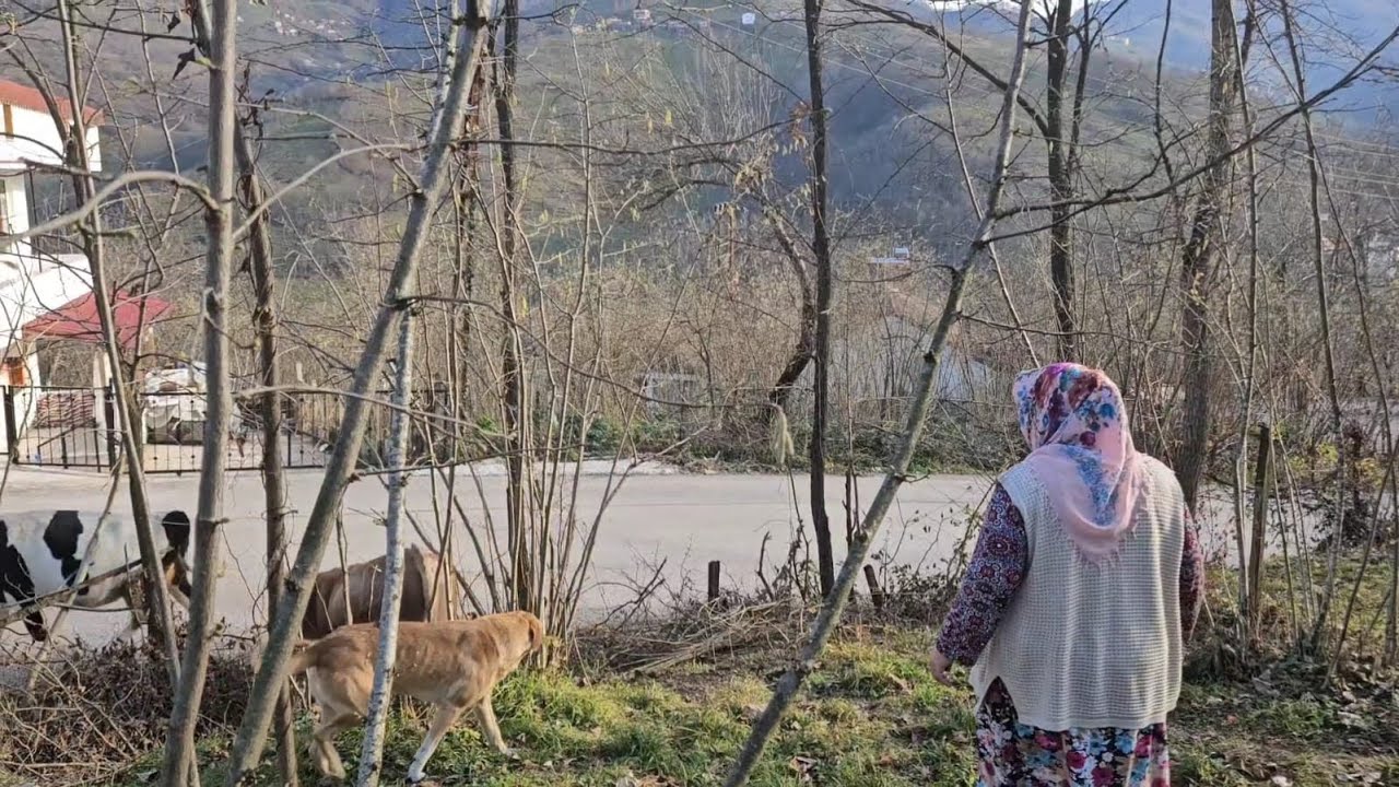 RÜZGARDAN VE KARA KIZDAN AYRILDIK😓😭