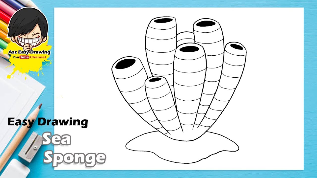 Easy Drawing Sea Sponge