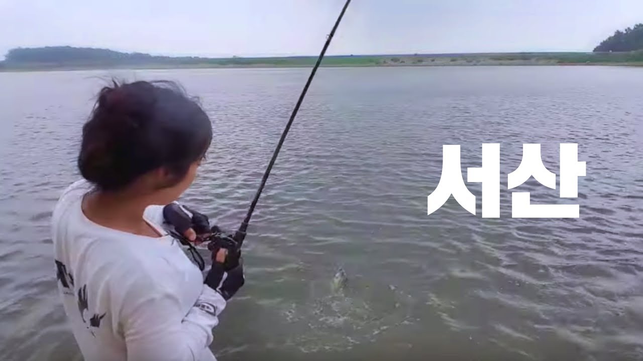 충남서산 배스낚시 런커배스잡기!!