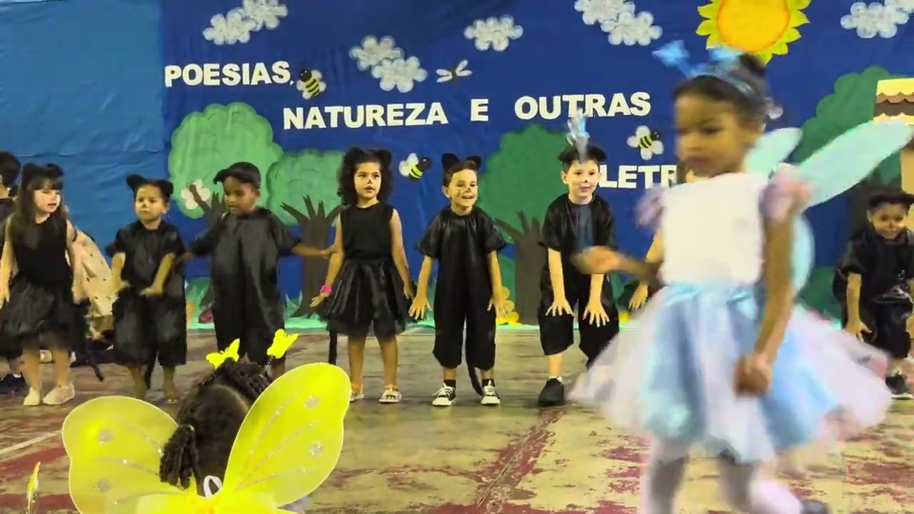 O Gato - Vinicius de Moraes