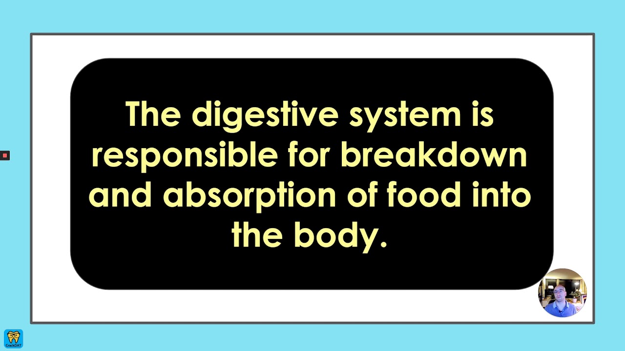 DAT Exam Biology Prep Crash Course Lesson 11i   Digestive System Structure & Function of Systems