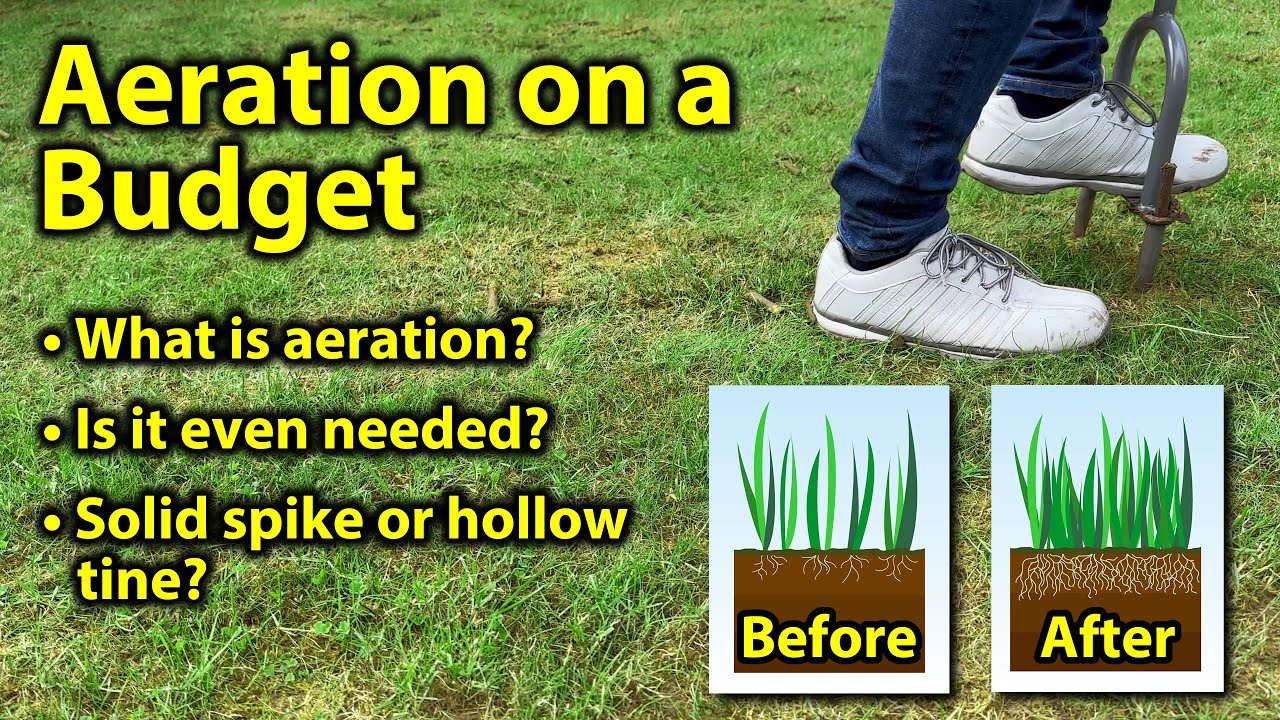 Lawn Aeration on a Budget
