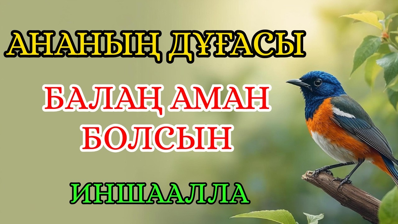 АНАНЫҢ ДҰҒАСЫ – БАЛАҢДЫ ЖАМАНДЫҚТАН САҚТАЙТЫН ҚАЛҚАН