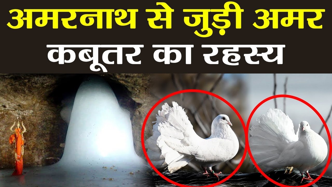 Amarnath Mystery: अमरनाथ की गुफा में हैं अमर कबूतरों का जोड़ा, होश उड़ा देगा रहस्य | वनइंडिया हिन्दी
