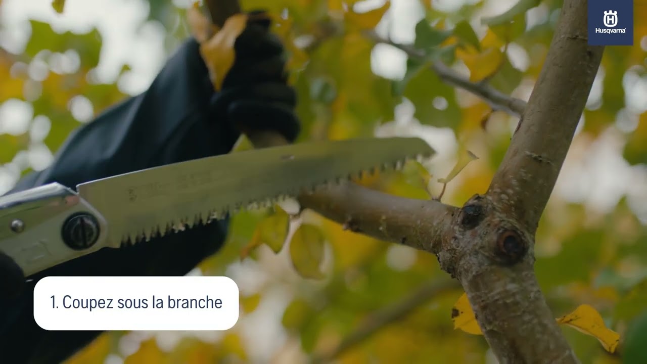 Comment &eacute;laguer un arbre | Husqvarna
