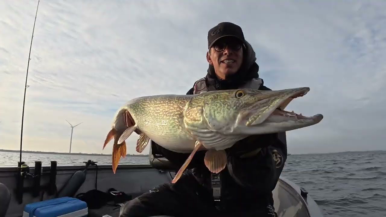 Monster Pike from the Volkerak — One Hit, Full-On Battle
