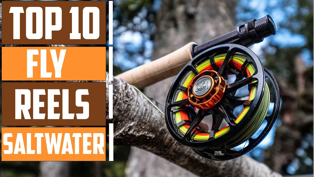 10 Best Saltwater Fly Reels for Serious Anglers