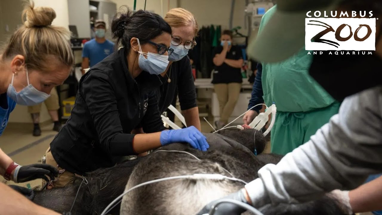 She Is One Of The Best Veterinarians I Know